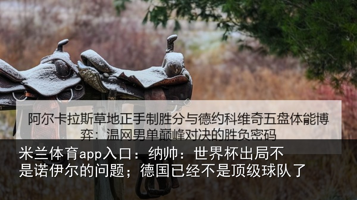 米兰体育app入口：纳帅相关情况伊尔的问题；德国相关情况了