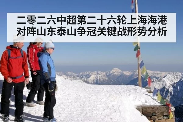 二零二六中超第二十六轮上海海港对阵山东泰山争冠关键战形势分析