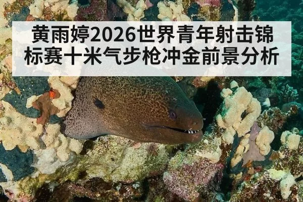 黄雨婷2026世界青年射击锦标赛十米气步枪冲金前景分析